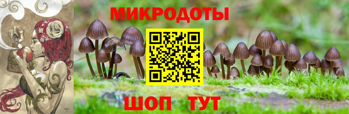 Галлюциногенные грибы Magic Shrooms  Вход с VPN  Солнечногорск  Галлюциногенные грибы Cubensis 